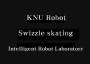 swizzle_skating_1_.jpg